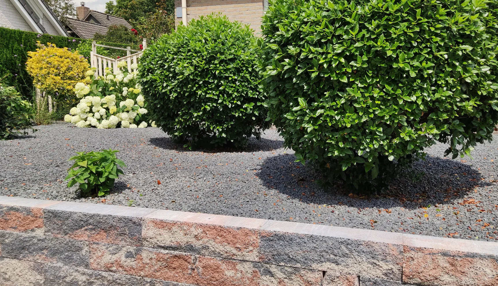 Miniatuur 3