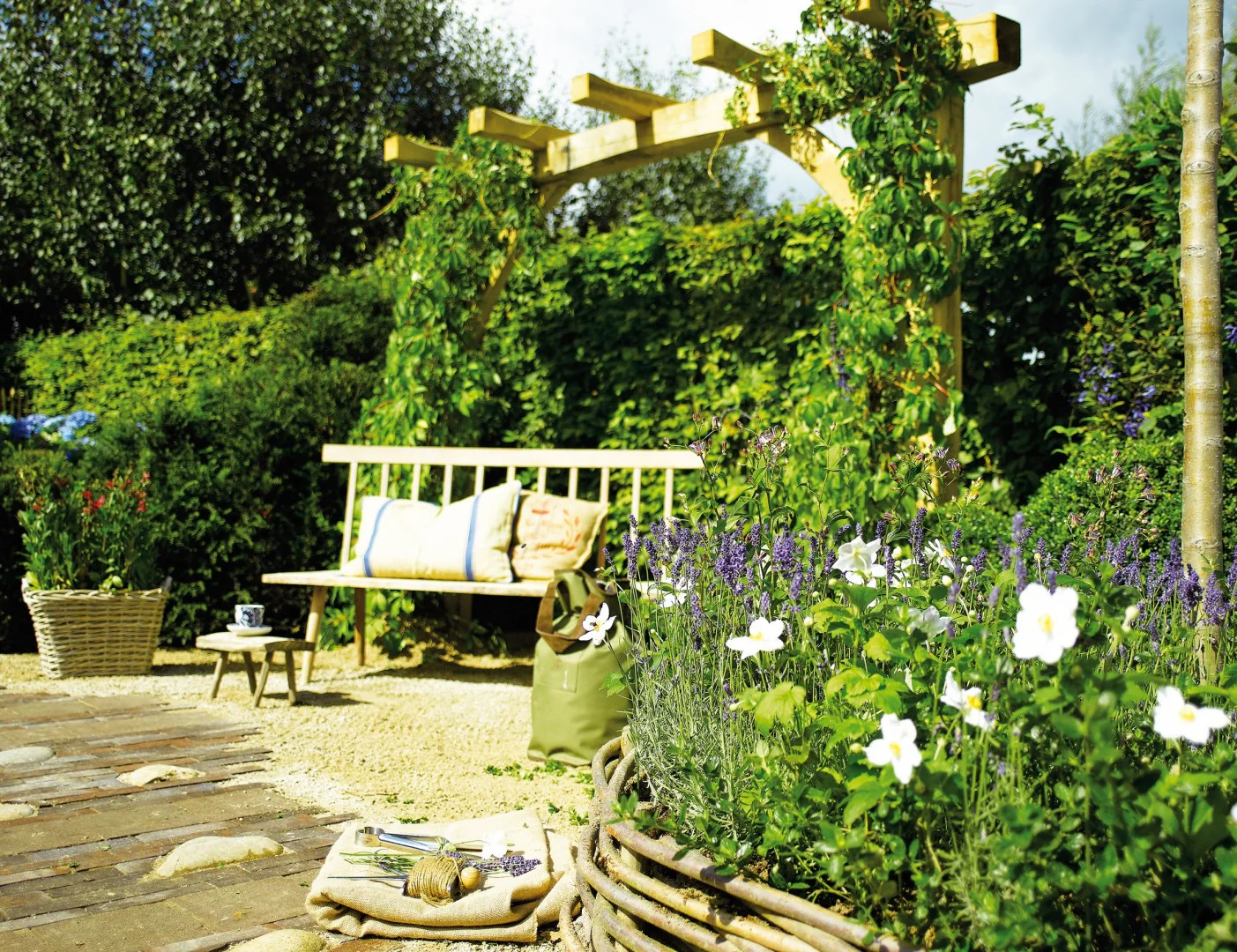Miniatuur 3
