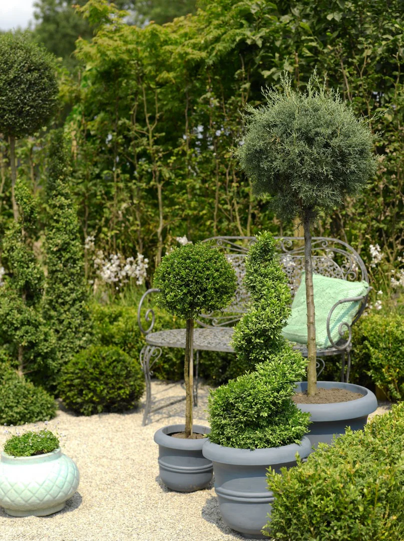 Miniatuur 2