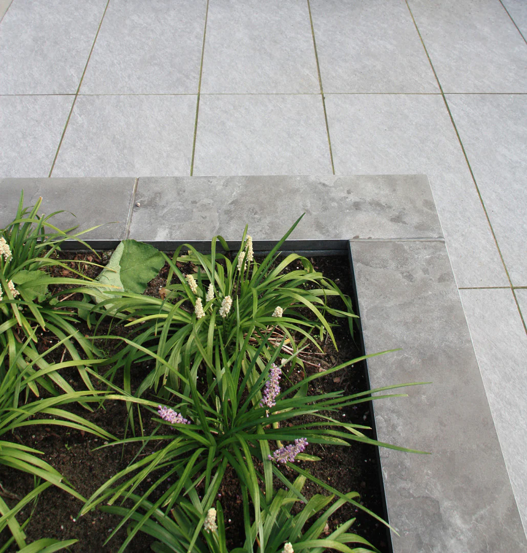 Miniatuur 3