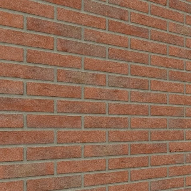 Miniatuur 3