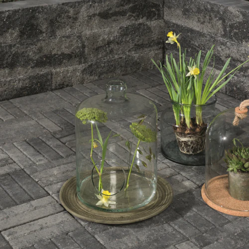 Miniatuur 3