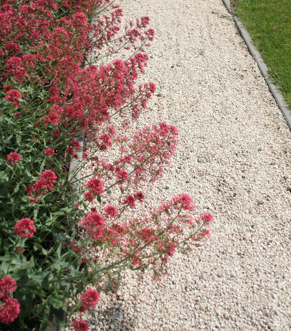 Miniatuur 2